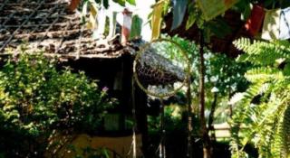 Khun Nai Tern Sai Hotel - 7