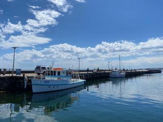 The Bay Walk House 750m to Mills Beach - 9