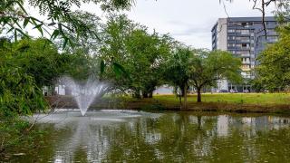 Apartment in Cozy Home - 2