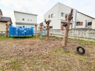 bamboo shoot harvesting experience in log cavin - 1