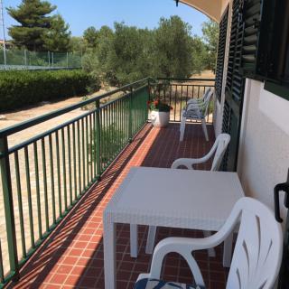 Americana Luxury Apartments - Zablaće - 1