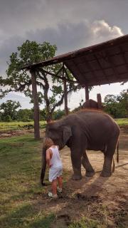 VacationVibeVilla 2R, Balcony, Kitchen, Living - 6