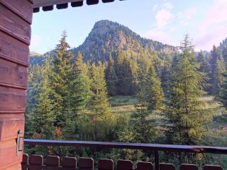 Casina Alpina sugli impianti Passo S Pellegrino - 6