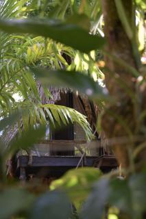 Monsoon Eco Resort - Whisky point Arugambay - Pottuvil - 9