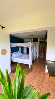 Hewani a bright & airy 1 BR apartment with an ocean view & pool - 4