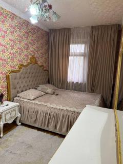 Felix Apartment in Tashkent Center - 1