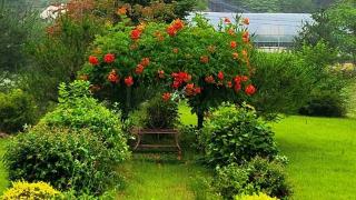 Gapyeong Yeoubyul Pension - 5