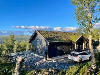 Lekker familiehytte m panoramautsikt ski inn out - 1