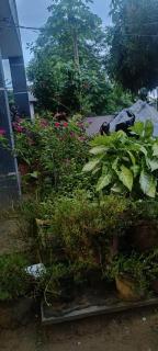 Mercy Homestay in Mansarovar, Jaipur - 6