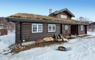 Awesome Home In Ustaoset With House A Mountain View - 1