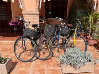 Casa Lilla - House with garden near Venice - 2