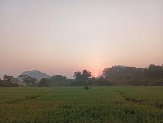 The Classic Crown Sigiriya - 3