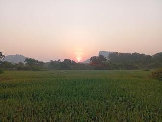 The Classic Crown Sigiriya - 1