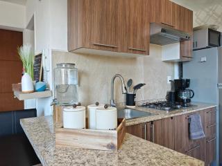 Executive Apartment near Poliforum and León center - 2