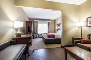 Comfort Suites Effingham Central - 2