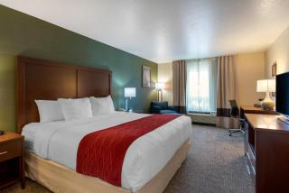 Comfort Inn & Suites Salem Northeast - 1