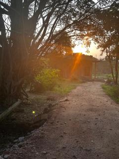 The Sigiriya Rock Gate Chalet - 7