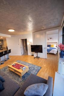 Modern Downtown Apartment with Million City Views - 3