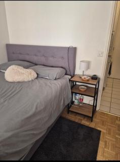 Studio en centre Ville, côté de la Gare de Champel et d l'Hopital - 9