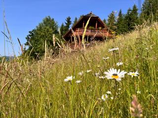 HolidayHouse Mahova koča - 9