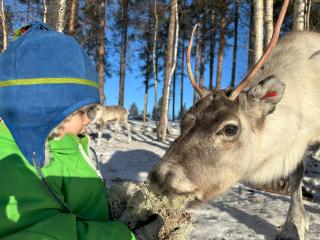 Skabram Camping & Stugby - 4