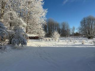 Nybo Timbered cottage near lake and bath - 3