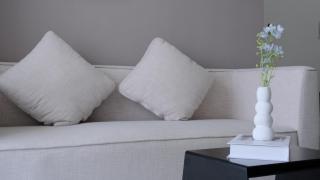 1BR Apartment near VSIP with Pool & Gym - 2