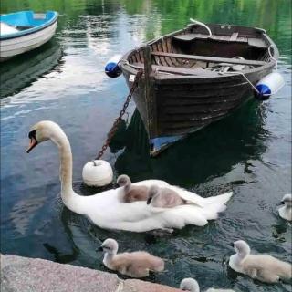 Casa sul fiume tra Milano e Bergamo con parcheggio - 7
