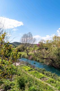 Mesopotam Agrotourism Resort - Saranda - 3
