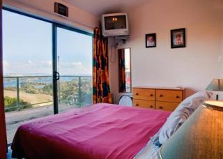 Kereru Hill - Stay Waiheke - Palm Beach - 6