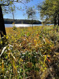 Guesthouse Holmen - 1