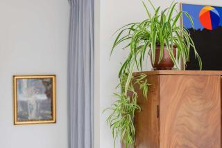 Cozy Modern Unit with Garden - 1