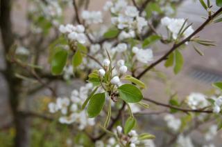 B&B Hartje Oirschot - 9