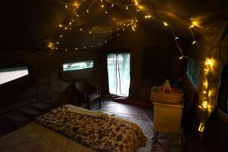 Lippizaner Glamping Tent Lake View - 9