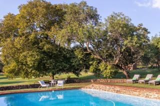 Lippizaner Glamping Tent Lake View - 4