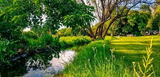 Lippizaner Glamping Tent Lake View - 3