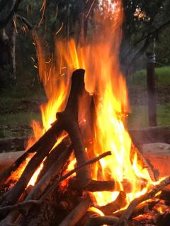 Lippizaner Glamping Tent Lake View - 2