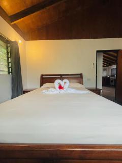 Blissful Vista Your Home Away From Home - 2