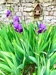 Maison campagne animaux & calme absolu - 7