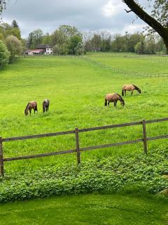 Herrenhaus - Starnberger See - Ammerland 1 - 9