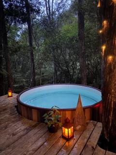 Fantail Bush Chalet - 5