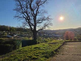 Stilvolle Wohnung in Wuppertal inkl. Kaffee & Tee - 6
