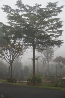 Sunvalley homestay- 10 rooms- Free Breakfast - 5