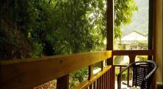 Spring Flowers Blossoming Hotel - 7