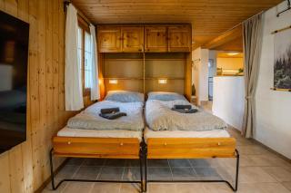 Peaceful Alpine Hideaway - Hot Tub & Terrace - 3