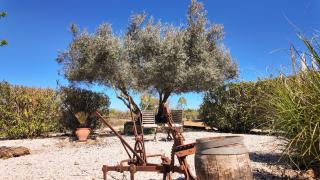 Casa La Alegria 37 - Málaga - 6