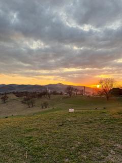 Cabana din Deal Rona - 7