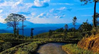 Sir Johns Bungalow - 3