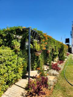 Sunday showers suites - 3