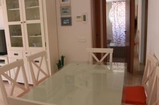 Delfines VII Solo Familias Serviplaya - 9